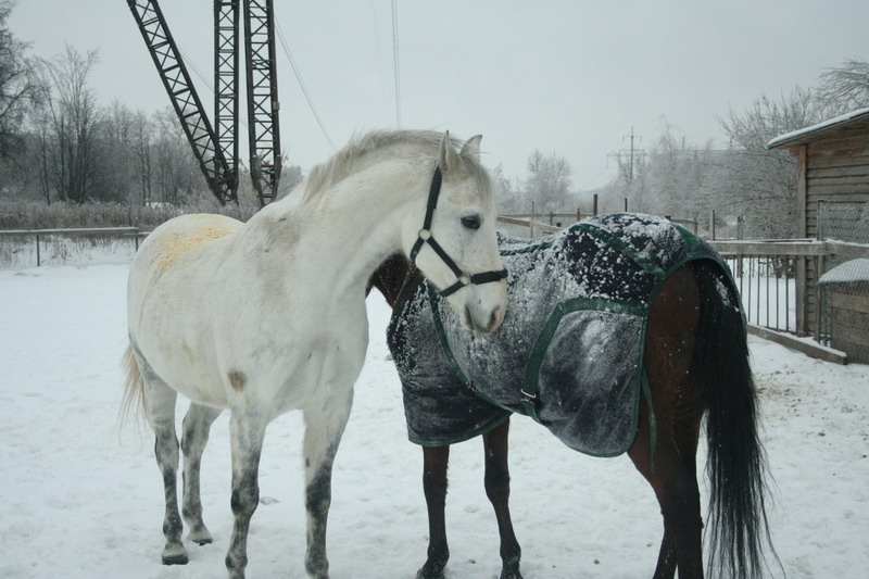 IMG_1863.jpg1.jpg"%20height="533"%20width="800